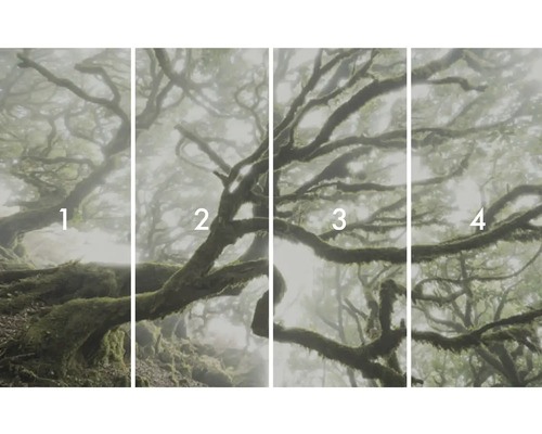 Čtyřdílný fotografický motiv mlžného lesa