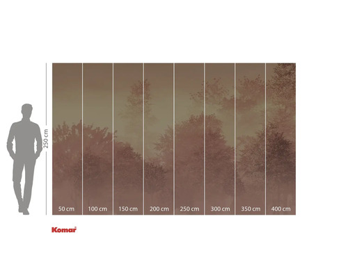 Fototapeta s motivem lesa a údaji o velikosti