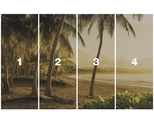 Čtyřdílný obrázek krajiny s palmami na pláži