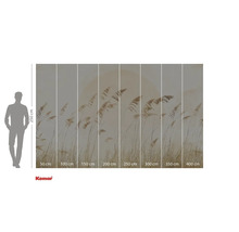 Komar fototapeta s motivem rákosí a údaji o velikosti