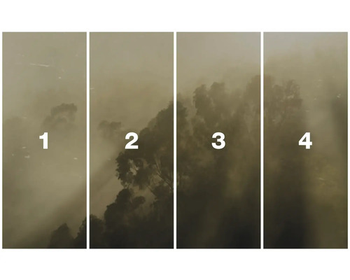 Čtyřdílný obraz přírody se stromy a mlhou