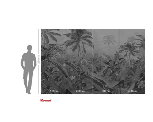 Foto tapeta s motivem džungle a údaji o velikosti