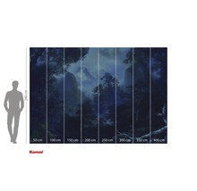 Komar fototapeta s lesní krajinou a rozměry.