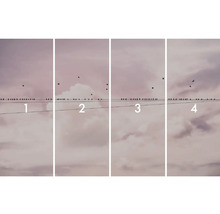 Ilustrace se čtyřmi obrázky ptáků na elektrickém vedení před zataženou oblohou