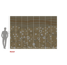 Fototapeta Komar s abstraktním vzorem a rozměry