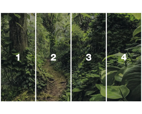 Fototapeta s motivem džungle ve čtyřech sekcích