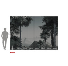 Fototapeta s palmami a údaji o velikosti