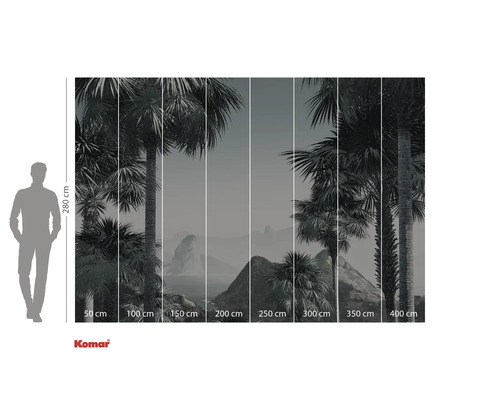 Fototapeta s palmami a údaji o velikosti