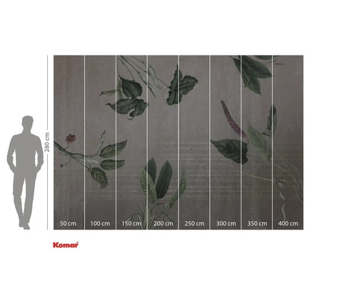 Komar fototapeta s rostlinným motivem a rozměry