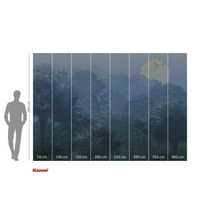 Fototapeta Komar s motivem džungle a údaji o velikosti