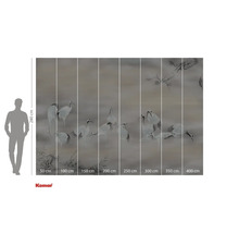 Komar fototapeta s motivy jeřábů a rozměry