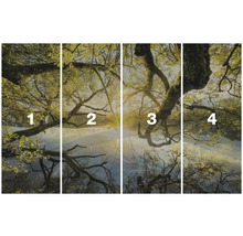 Čtyřdílná fototapeta s motivem stromů