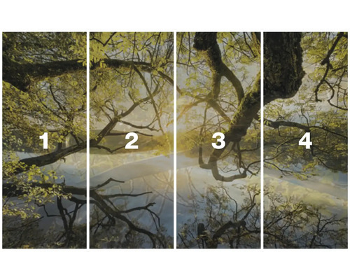 Čtyřdílná fototapeta s motivem stromů