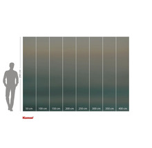 Fototapeta Komar s údaji o velikosti