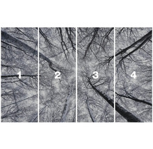 Čtyřdílná fototapeta s korunami stromů v zimě