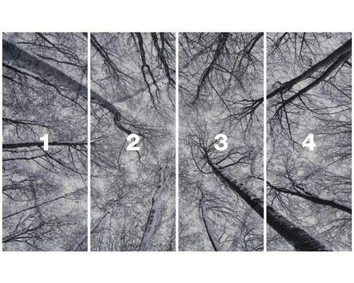 Čtyřdílná fototapeta s korunami stromů v zimě