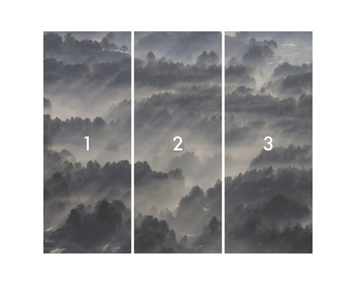 Fotos tapeta skládající se ze tří částí s motivem lesa v mlze