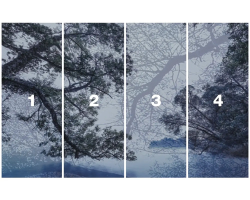 Čtyřdílná fototapeta les