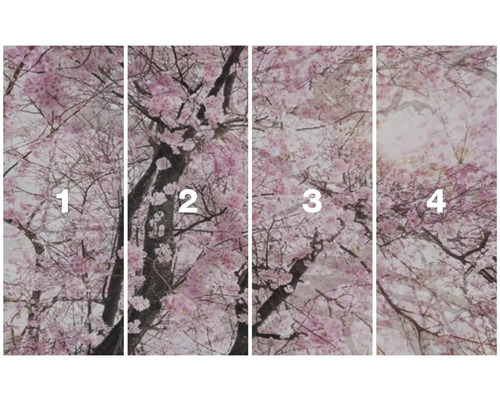 Čtyřdílná fototapeta s motivem třešňových květů