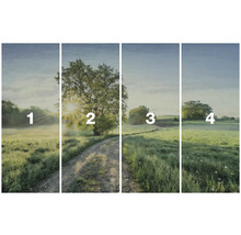 Čtyřdílná nástěnná malba s motivem krajiny