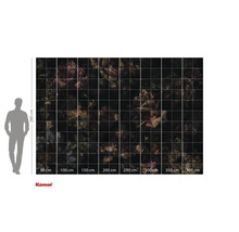 Fototapeta s květinovým vzorem a údaji o velikosti