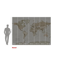 Mapa světa jako fototapeta s rozměry