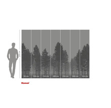 Fototapeta s motivem lesa a údaji o velikosti.