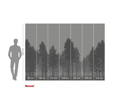 Fototapeta s motivem lesa a údaji o velikosti.