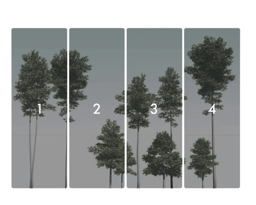 Čtyřdílná tapeta s motivem lesa a stromů