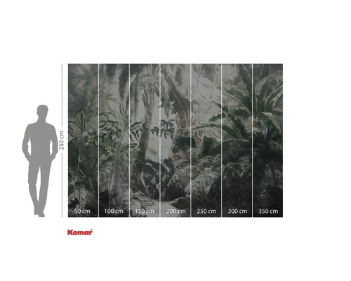 Fototapeta s motivem džungle a údaji o velikosti