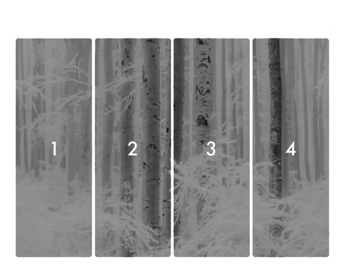 Čtyřdílná tapeta s motivem lesa a stromů