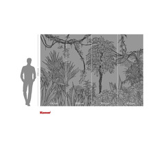 Fototapeta s motivem džungle a rozměry