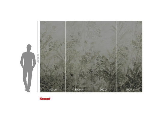 Fototapeta s motivem džungle a údaji o velikosti
