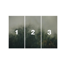 Třídílný nástěnný obraz s motivem lesa a mlhy