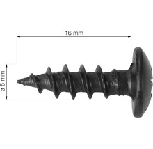 Sádrokartonový šroub o délce 16 milimetrů a tloušťce 5 milimetrů.