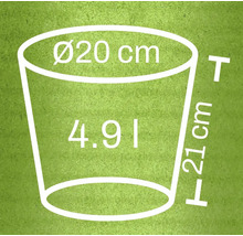 Obrázek rozměrů květináče: průměr nahoře 20 centimetrů, výška 21 centimetrů, objem 4,9 litru