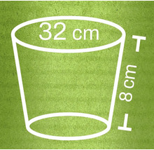 Rozměry květináče: průměr horní části 32 cm, výška 8 cm