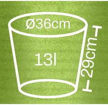 Rozměry květináče: průměr 36 centimetrů, výška 29 centimetrů, objem 13 litrů