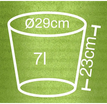 Rozměry květináče: průměr 29 centimetrů, výška 23 centimetrů, objem 7 litrů