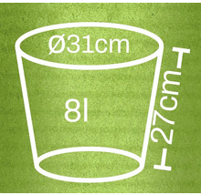 Obrázek s rozměry: průměr 31 centimetrů, výška 27 centimetrů, objem 8 litrů