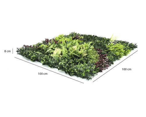 Umělá rostlinná stěna s různými druhy listů, rozměry 100 na 100 centimetrů, hloubka 8 centimetrů.