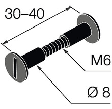 Technický výkres šroubu M6 o průměru 8 mm a délce 30 až 40 mm.