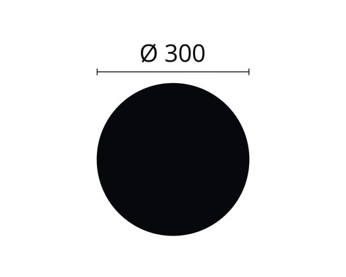 Kruh o průměru 300 milimetrů