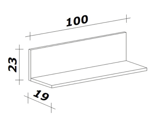 Technický nákres nástěnné police o rozměrech 100 x 23 x 19