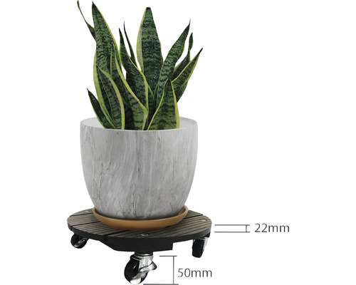 Květinový vozík s rostlinou v květináči