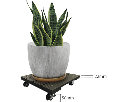 Podložka pod květináč s rostlinou v květináči a rozměry