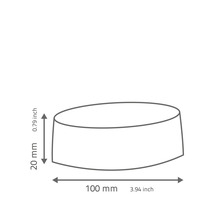 Technický výkres kulatého předmětu o rozměrech 100 mm x 20 mm.