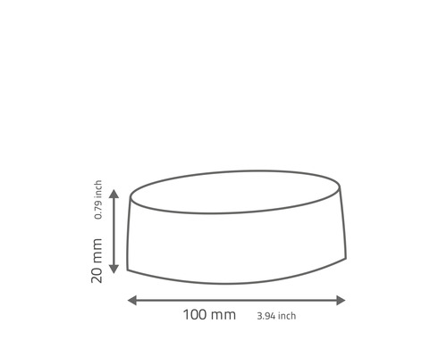 Technický výkres kulatého předmětu o rozměrech 100 mm x 20 mm.