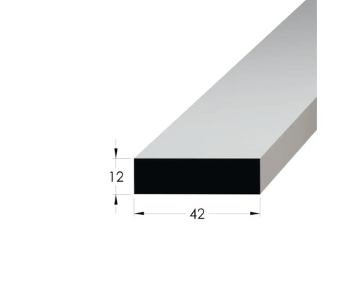 Obdélníkový kovový pásek o rozměrech 12 x 42 milimetrů