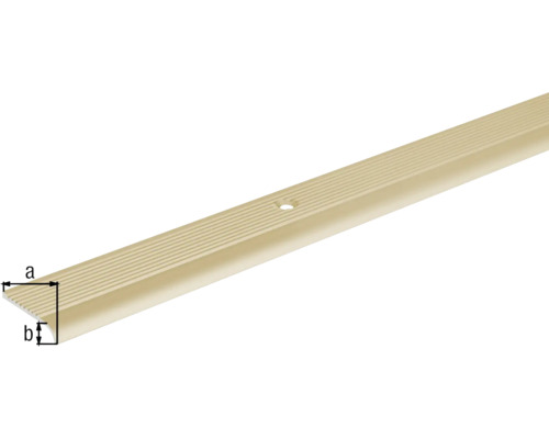 Profil hrany schodu s upevňovacími otvory pro montáž